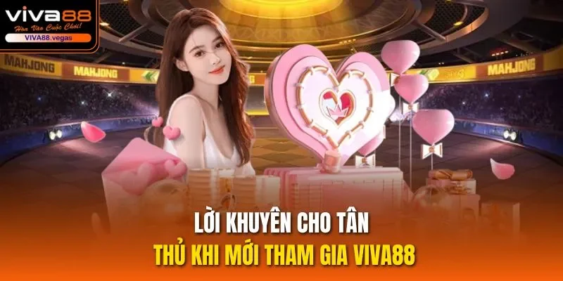 Lời khuyên cho tân thủ khi mới tham gia Viva88